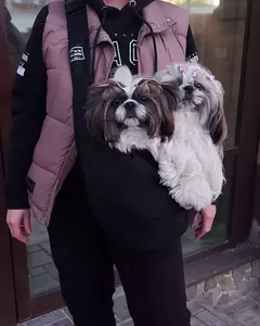 Bolsa de transporte para cães de estimação, bolsa de ombro para viagem ao ar livre, filhote de cachorro, confortável, bolsa tote, gatinho, corgi, transporte de animais de estimação - loja online