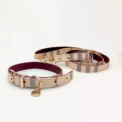 Coleira e coleira para animais de estimação conjunto de couro moda coleiras ajustáveis para cães suprimentos para animais de estimação coleiras para cães médios e grandes presente para cães - Wolf Magazine