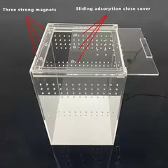 Acrílico Reptile Breeding Box para Pet, Inseto Transparente, Arboreal Wolf Fence, Aranha Lagarto, Anfíbio e Lagarto - Wolf Magazine