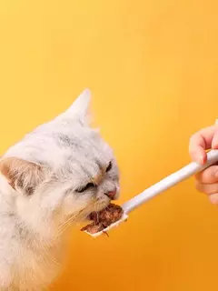 Colher e tampa para latas de comida para animais de estimação, colher fofa com alça longa, adequada para alimentos úmidos, alimentos enlatados, lanches, fácil de limpar, gatos e cães