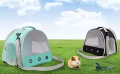 Transportador de cobaia portátil, gaiola transparente para transporte de hamster, bolsa de viagem para répteis, coelho pequeno para animais de estimação, dragão barbudo ao ar livre