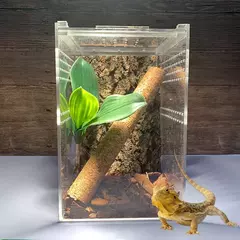 Acrílico Reptile Breeding Box para Pet, Inseto Transparente, Arboreal Wolf Fence, Aranha Lagarto, Anfíbio e Lagarto na internet