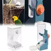 Dispensador de água automático para pássaros, gaiola de alimentação para papagaio, dispensador de água automático, recipiente de sementes de papagaio, gaiola de alimentação de alimentos, dispe de água