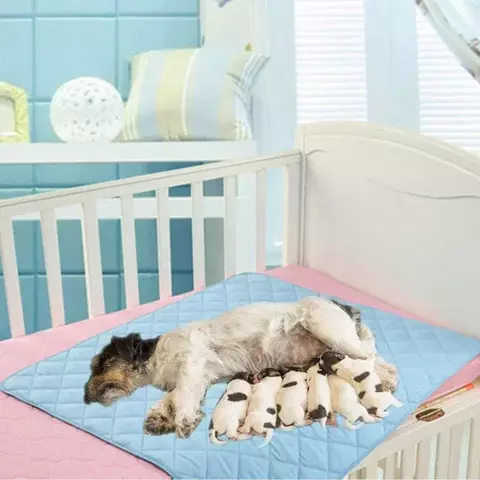 Reusable Pet Fralda Pads, Tapete impermeável para cão e gato, Almofadas Secas Rápidas, Folha Protetora, Tamanho Grande, 3 Camadas