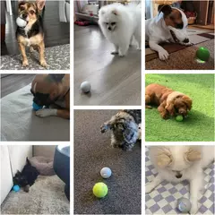Bola de brinquedo para cachorro inteligente, bola eletrônica interativa para animais de estimação, usb, bola de brinquedo automática com luzes rgb, produto para cachorro e gato - loja online