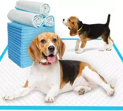 Fralda super absorvente para animais de estimação, fralda grossa para xixi, secagem rápida, descartável, tapete de urina para gatos, fraldas para cães, desodorante, suprimentos para animais de estimação - comprar online
