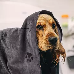 Toalha de secagem para cães e gatos, toalha de banho para animais de estimação, microfibra de secagem rápida para cachorros, produtos de banho para animais de estimação, absorvente médio para cães