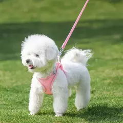 Ajustável Pet Harness Vest, filhote de cachorro respirável, coleira pequena e conjunto de trela, Chihuahua Chest Strap Stuff, novo - comprar online