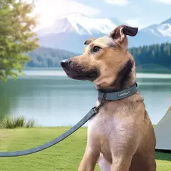 Imagem do Coleira de couro personalizada para cães, coleira e coleira para animais de estimação, conjunto de coleira de couro durável para cães pequenos, médios e grandes