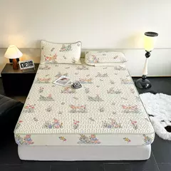 Esteira refrigerando natural do látex para a cama, sentimento fresco macio, folha cabida e fronha, tampa do colchão, esteiras do verão da categoria A - comprar online