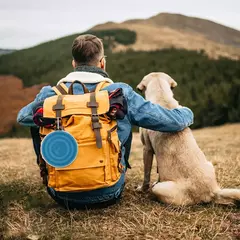 Bacia de água dobrável para comida de cachorro de silicone com lábios de tigela para animais de estimação viagens ao ar livre, portátil com ganchos para suprimentos para animais de estimação, tigela de alimentação - Wolf Magazine