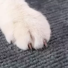 Parede Anti Cat Scratch Board, patas de proteção para sofá, tapete auto-adesivo trimmable, DIY Cats Scratch Board