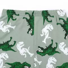 T-Rex infantil com padrão de dinossauro pijama, top e calça de manga comprida, pijama casual confortável, loungewear para menino - Wolf Magazine