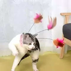 Brinquedos interativos para gatos, brinquedos engraçados de penas com sino, coleira para animais de estimação, gatinho, varinha de provocação, brinquedos de treinamento para gatos na internet