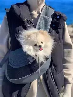 Imagem do Bolsa de transporte para cães de estimação, portátil, confortável, respirável, mão livre, ombro crossbody, acessórios para cães