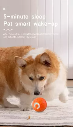 Bola de brinquedo inteligente para cachorro, brinquedo interativo eletrônico para animais de estimação, bola móvel, usb, movimento automático, saltando, bola de brinquedo, filhote de cachorro, produto para gato - loja online