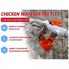 Tigela de alimentação automática de água potável, Leak Proof, frango, codornas, pássaros, suprimentos de reprodução, frango, 10 pcs, 20 pcs, 30pcs