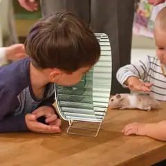 Imagem do Roda hamster exercício silencioso chinchila Polegada silencioso correndo rato ouriço rodas animais pires brinquedo gaiola exercício gerbil animais