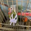 Bonito pequeno animal de estimação pássaro titular comida papagaio frutas legumes clipe choco osso alimentador dispositivo braçadeira gaiola acessórios ouiseaux