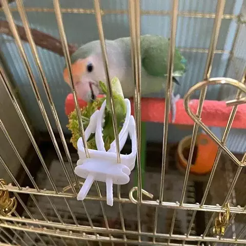 Bonito pequeno animal de estimação pássaro titular comida papagaio frutas legumes clipe choco osso alimentador dispositivo braçadeira gaiola acessórios ouiseaux