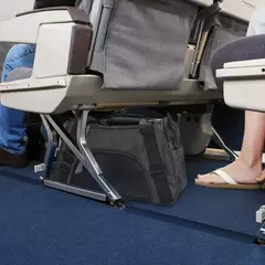 Saco de transporte portátil para cães e gatos, bolsa de viagem dobrável para gatos, bolsa de viagem para animais de estimação - Wolf Magazine