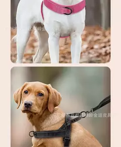 Novo coleira de colete para cães, cinta peitoral grande para cães, cavalo, golden retriever, coleira lateral de pastor, conjunto de arnês e coleira para animais de estimação - Wolf Magazine