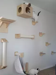 Montado na parede gato escalada prateleira passos móveis de parede escada com corda sisal arranhando pós árvore para gatos gatinho dormir - comprar online