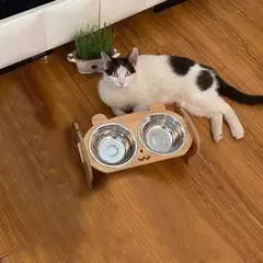 Alimentador para animais de estimação, tigela dupla de comida para gatos com design anti-queda, recipiente de alimentação de água para cães, tigela de comida para gatos, produtos para animais de estimação