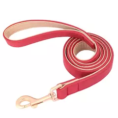 Coleira de cachorro acolchoada macia conjunto de coleira de couro pu para cães de estimação colar com corda de chumbo para caminhada ajustável para cães pequenos e médios pug - Wolf Magazine