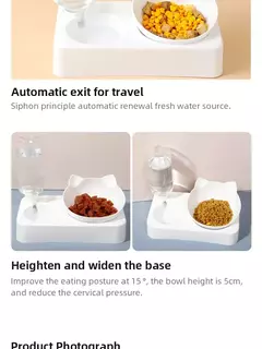 Pet Bowl 15 Graus Tilt para Proteger a Vértebra Cervical Dog Food Bowl Automático Beber Alimentador Pet Alimentação Suprimentos - loja online