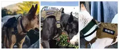 Imagem do Coleira grande para cães, conjunto militar de arnês e coleira para treinamento de animais de estimação, arnês tático de pastor alemão para cães de todos os tamanhos