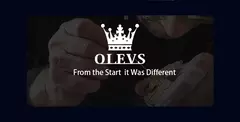 OLEVS-Relógios de luxo high-end para homens, relógios originais de aço inoxidável, marca top, relógio de quartzo, relógio manual, moda - Wolf Magazine