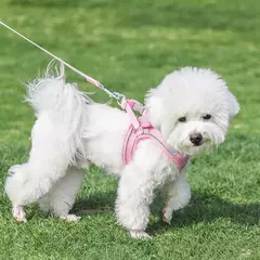 Imagem do Ajustável Pet Harness Vest, filhote de cachorro respirável, coleira pequena e conjunto de trela, Chihuahua Chest Strap Stuff, novo