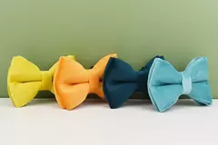 Coleira de cachorro ajustável de veludo, coleira e coleira de cachorro dourada, coleira de cachorro e conjunto de arnês para cães grandes e fortes na internet