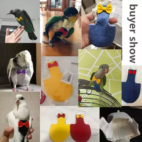 Pássaro papagaio fralda voo terno, fralda roupas para bochecha verde, periquito Conure, calopsitas, pombos, médio e grande, pássaro pet