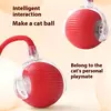 Brinquedos para gatos recarregáveis, interativos, inteligentes, interação para animais de estimação, bola de rolamento automática, acessórios para gatos, coisas elétricas para cães