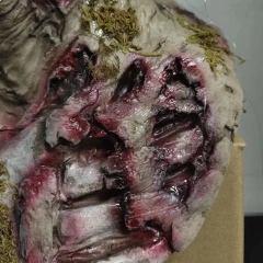 Imagem do Halloween Horror Monstro Máscara, Bryophyte Biochemical Mortal Látex Chapelaria, Casa Assombrada Cosplay Traje, Terror Prop, Alta Qualidade