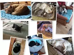 Tapete para animais de estimação com resfriamento final, respirável, lavável, verão, cachorro, gato, cobertor auto-fresco para canil, caixa e cama, dormir, seda gelada - loja online