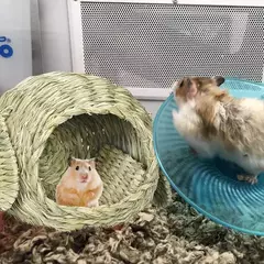 Casa de coelho artesanal para coelhos e cobaias, Hideaway e Playhouse, cabana confortável, natural