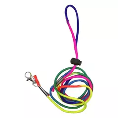 Fralda macia para papagaio, Fraldas da moda, Suíte Voo, Calças Pombo para Periquitos, Pássaro Calopsita, Pássaros Pequenos e Médios - comprar online
