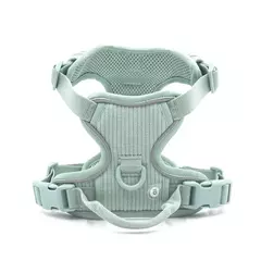 Coleira de cachorro personalizada, arnês para cães gravado, leve, veludo, designer, coleira e coleira, conjunto acolchoado, totalmente ajustável - comprar online