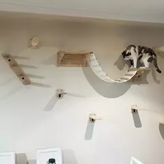 Prateleiras de escalada para gatos montadas na parede Casa para gatos Ponte para - comprar online