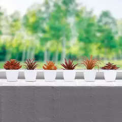 Mini suculenta artificial planta verde plástico Wwhite bacia, Home Window Sill, Restaurante Desktop Bookshelf Decoração, 6pcs por conjunto - comprar online