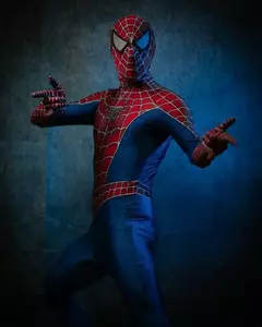 Halloween homem raimi aranha cosplay traje 3d impresso adulto zentai terno spiderhero bodysuit festa macacão - Wolf Magazine