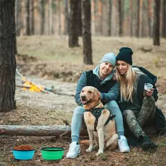 Bacia de água dobrável para comida de cachorro de silicone com lábios de tigela para animais de estimação viagens ao ar livre, portátil com ganchos para suprimentos para animais de estimação, tigela de alimentação - loja online