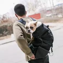 Imagem do Mochila para cachorro de viagem ao ar livre, mochila média para cães pequenos, respirável, caminhada, buldogue francês, acessórios, suprimentos para animais de estimação