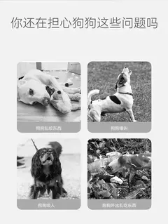 Borracha macia confortável cão tampa da boca, Anti mordida, Anti latidos e Anti comer, Pet, Bulldog, Curto na internet