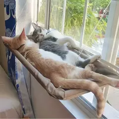 Rede aérea para gatos, cama suspensa para gatos, casa, gatinho, estrutura de escalada, assento de janela ensolarada, rolamento de ninho, 20kg, acessórios para animais de estimação - comprar online