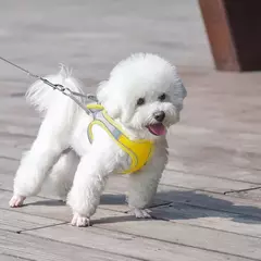 Ajustável Pet Harness Vest, filhote de cachorro respirável, coleira pequena e conjunto de trela, Chihuahua Chest Strap Stuff, novo - Wolf Magazine