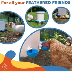 5 pçs kit aves alimentador de água automático frango tigela potável alimentação rega supplie frango waterer na internet